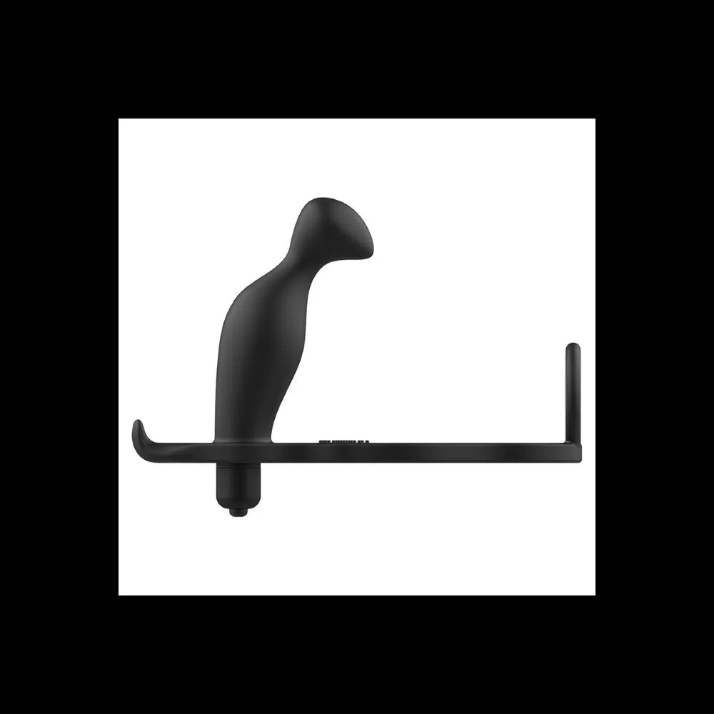 Plug anale