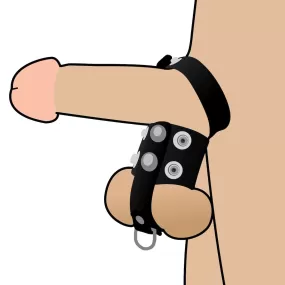 Costrittivo Testicoli con...