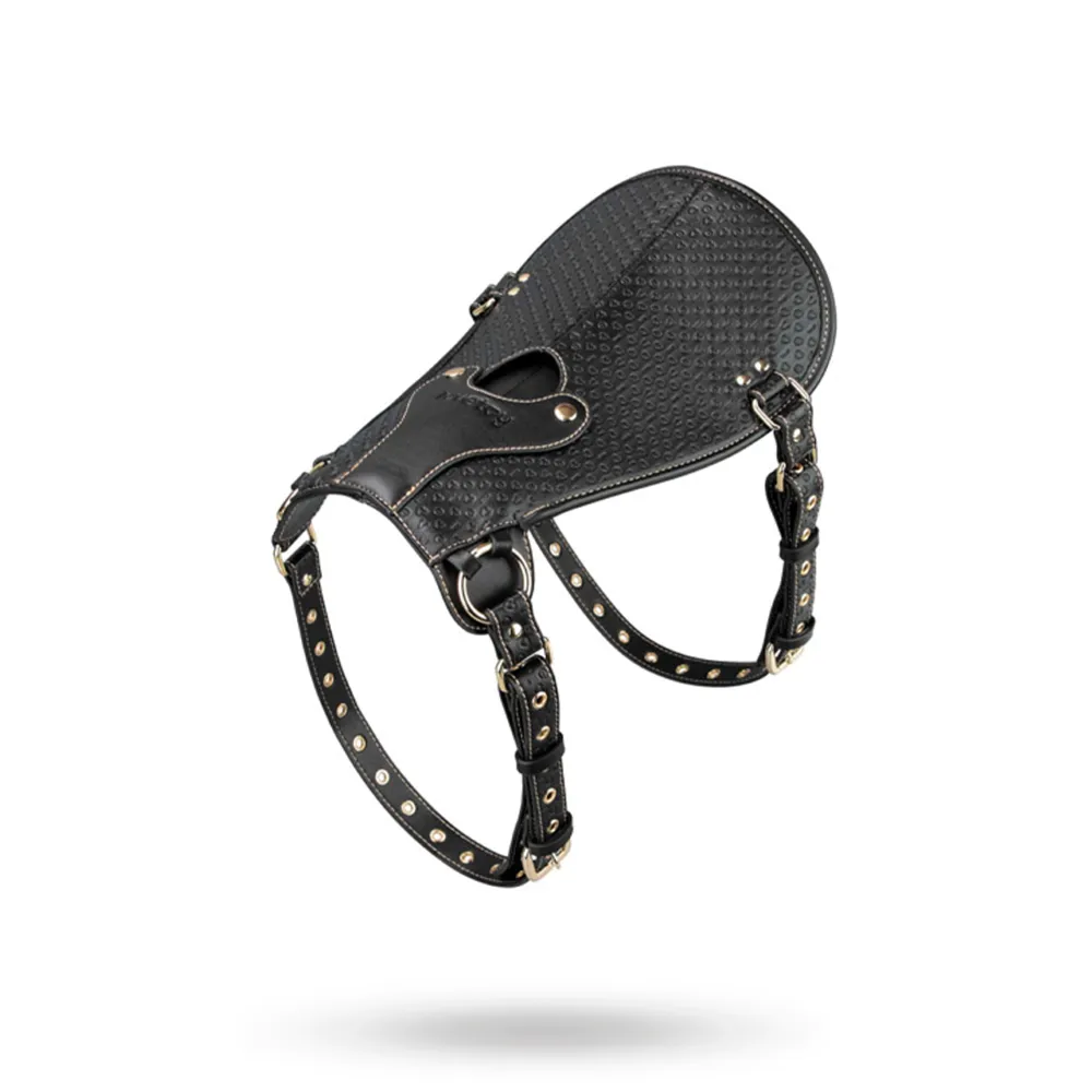 Rebellion Reign sella ergonomica