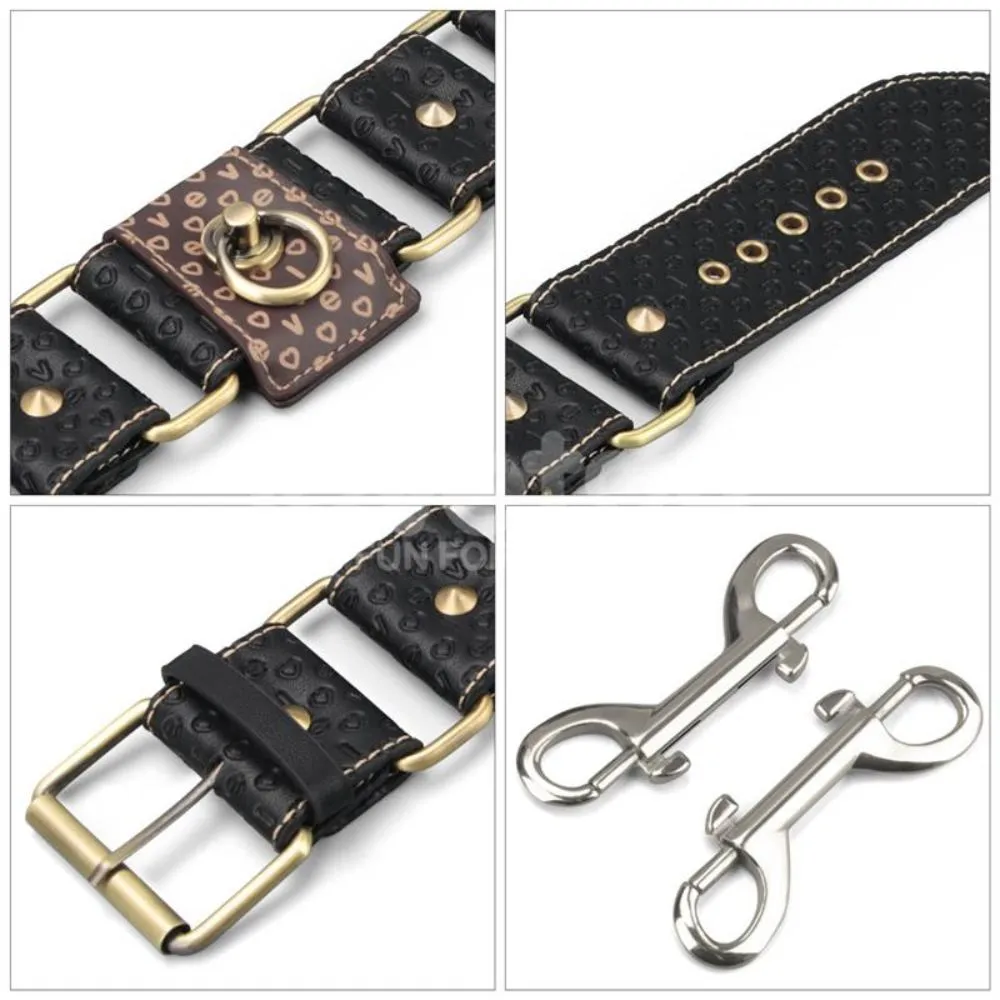 Cavigliere eleganti serie Rebellion Reign