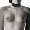 Collari Bondage