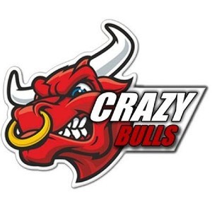 Crazy Bulls