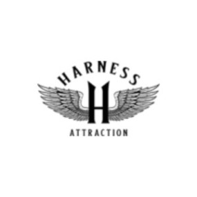 HARNESS ATTRACTION: Imbracature strap-on per uomo donna