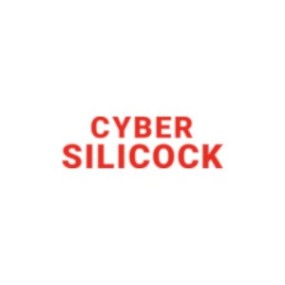 Esplora il Piacere con Sicurezza: La Gamma Innovativa di Giocattoli Sessuali Cyber Silicock